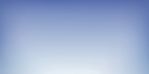 मुख्य समाचार 1